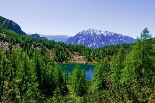 Prachtig Groen Natuurlandschap Bergen Met Een Meer Verte — Stockfoto