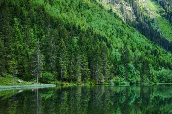 등산을 하면서 산속의 호수에 나무들에서 반사되는 놀라운 — 스톡 사진