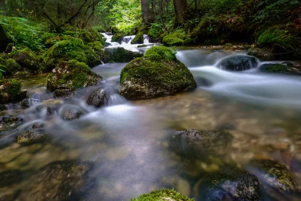 Meravigliosa Acqua Dolce Che Scorre Ruscello Nella Natura Durante Escursioni — Foto Stock