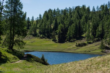 Dağlarda ağaçlar ve otlarla parıldayan muhteşem küçük bir göl.
