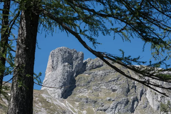 Надежный Вид Горы Через Деревья Время Похода Летом — стоковое фото