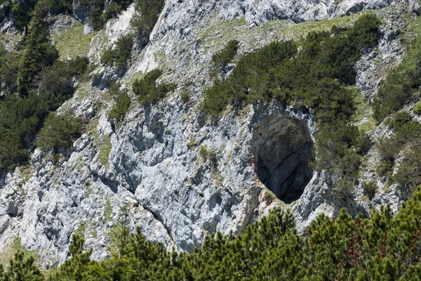 Yürürken Bitkilerle Dolu Bir Dağda Yuvarlak Bir Mağara — Stok fotoğraf