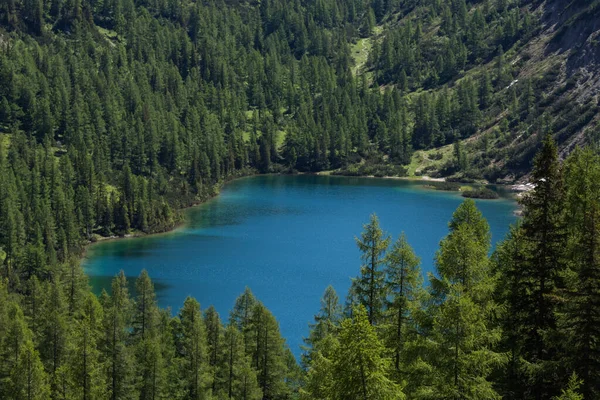 Piękne Niebiesko Zielone Górskie Jezioro Pomiędzy Sosnami Podczas Wędrówki Przyrodzie — Zdjęcie stockowe