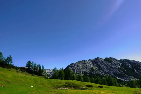 Cielo Blu Senza Nuvole Montagna Durante Escursioni Estate — Foto Stock