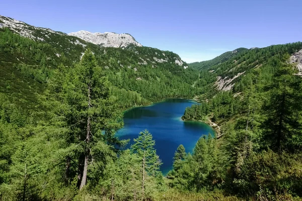 Lindo Lago Montanha Azul Profundo Uma Reserva Natural Verde — Fotografia de Stock