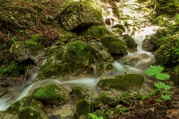 Malý Měkký Tekoucí Vodopád Mezi Kamínky Zeleným Mechem — Stock fotografie