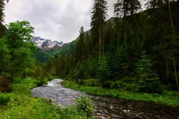 Maravilhosa Torrente Fluindo Uma Paisagem Natureza Verde Verão — Fotografia de Stock