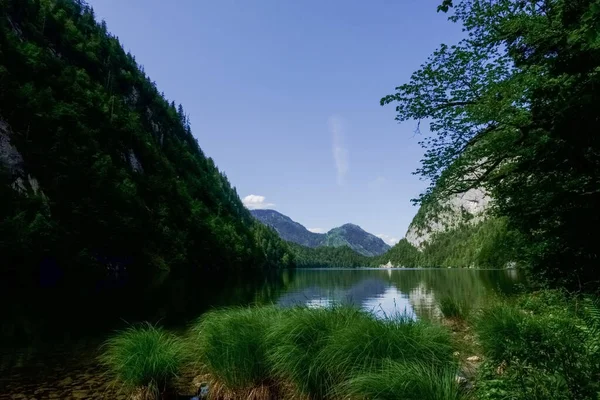 Zielona Trawa Górskim Jeziorze Błękitnym Niebem Latem — Zdjęcie stockowe
