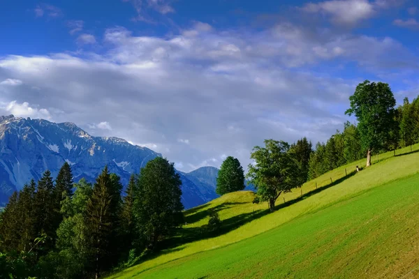 Зеленые Холмы Деревьями Голубое Небо Белыми Облаками — стоковое фото