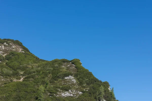 Yazın Bulutsuz Mavi Gökyüzü Ile Dik Bir Dağda Yeşil Küçük — Stok fotoğraf