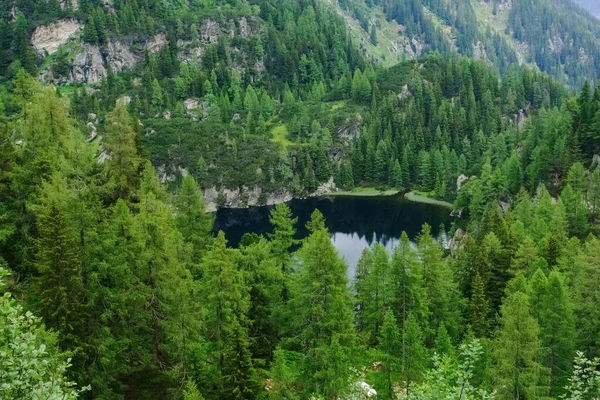 Hermoso Lago Montaña Clara Entre Árboles Colinas Verano —  Fotos de Stock