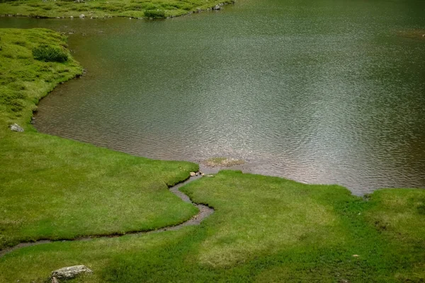 Dopływ Góry Szczegółowo Jezioro Podczas Wędrówki — Zdjęcie stockowe
