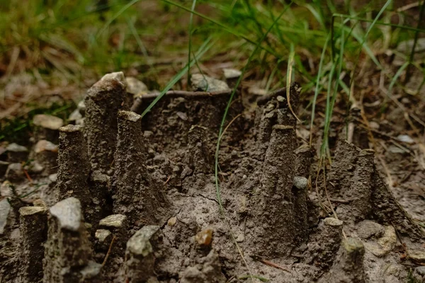 Besondere Sandbildung Waldboden Nach Regen — Stockfoto