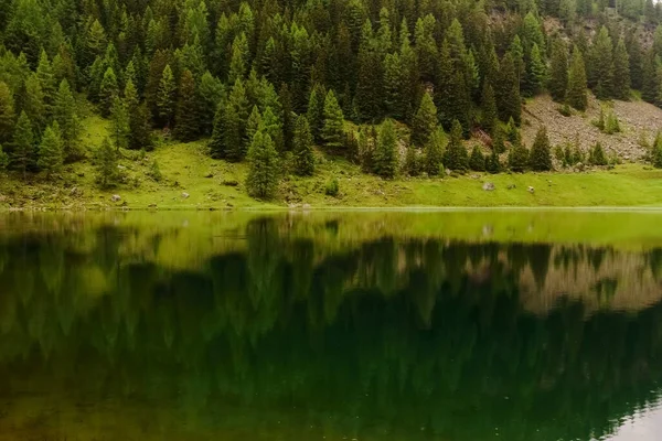 Verschillende Groene Reflectie Het Water Van Bomen Een Bergmeer — Stockfoto