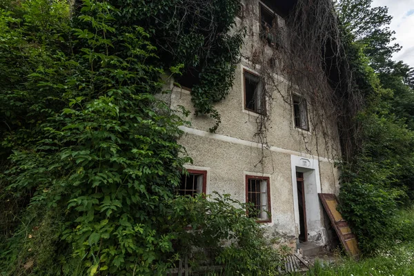 Altes Bewachsenes Haus Mit Pflanzen Wald Der Nähe Einer Straße — Stockfoto