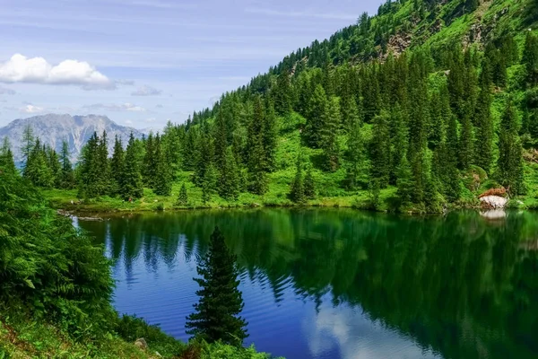 Maravilhoso Lago Montanha Com Ondas Superfície Uma Paisagem Verde — Fotografia de Stock