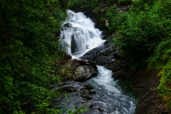 Kleiner Wasserfall Einem Gebirgsbach Einem Wald Mit Grünen Pflanzen — Stockfoto