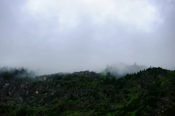 Dichter Nebel Und Wolken Grünen Bergen Sommer — Stockfoto