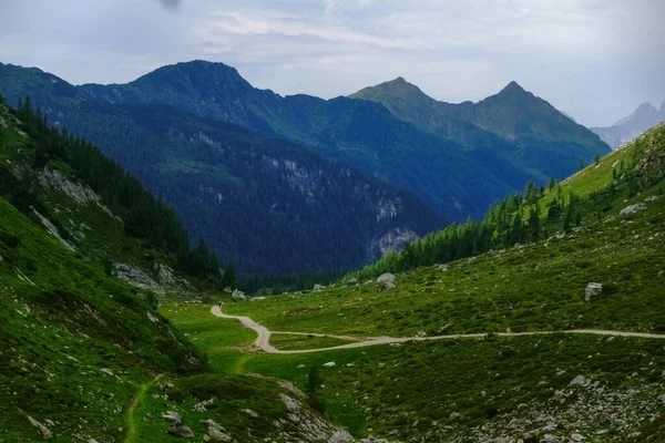 Strada Sterrata Curvy Montagne Verdi Durante Escursioni Estate — Foto Stock