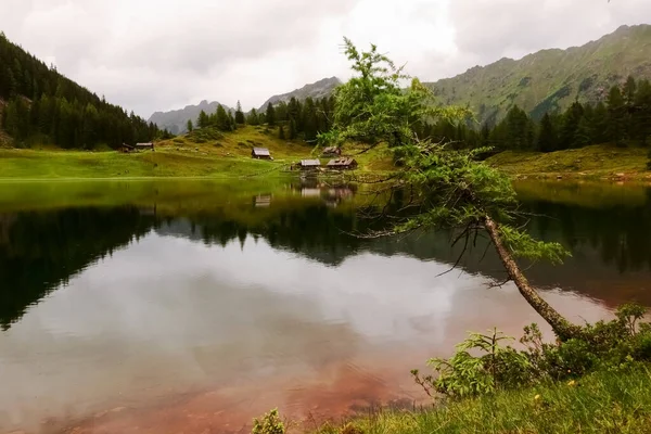 Único Árbol Oblicuo Sobre Agua Lago Montaña Con Bonito Reflejo —  Fotos de Stock