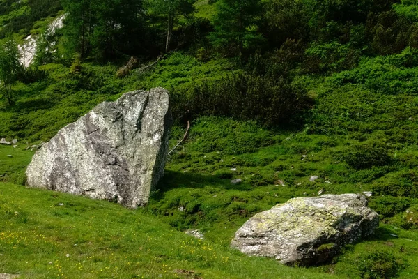 Einzelne Große Felsen Auf Einer Grünen Wiese Beim Wandern Den — Stockfoto