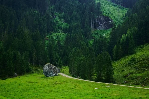 Огромная Одинокая Скала Рядом Грунтовой Дорогой Зеленых Горах Время Похода — стоковое фото