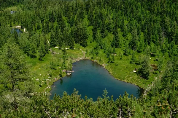 Wunderschöner Bergsee Mit Grünen Pflanzen Und Bäumen Blick Von Oben — Stockfoto