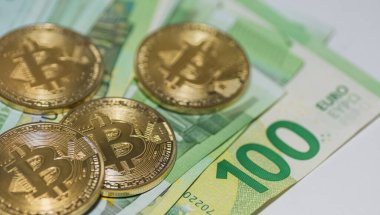 Altın bitmadeni paralar ve çok sayıda 100 avroluk banknotlar detay görünümünden görünüyor