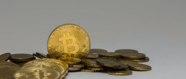 Gri panorama manzaralı diğer paraların arasında duran altın değerli bitcoin