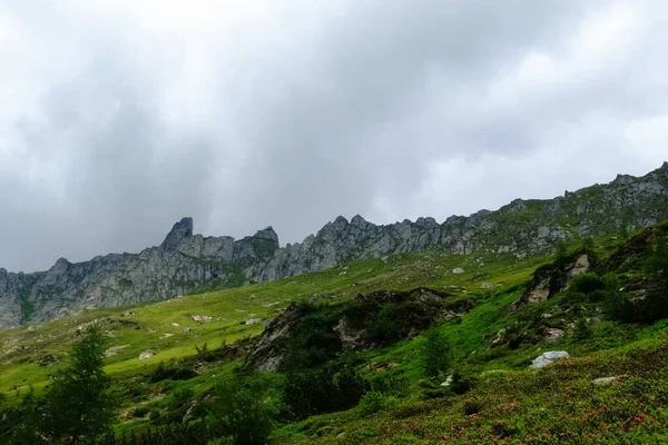 Зелені Пагорби Скелясті Гори Задньому Плані Під Час Походу Відпустку — стокове фото