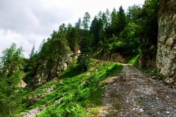 Steep Road Stones While Hiking Mountain — Stock Photo, Image