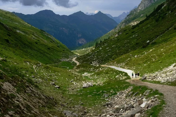 Tre Escursionisti Una Lunga Strada Sterrata Tra Verdi Montagne — Foto Stock