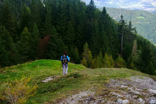 Wanderin Mit Rucksack Auf Einem Berg Mit Bäumen Herbst — Stockfoto