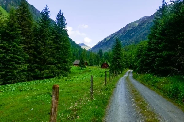 Drum Murdar Într Vale Verde Superbă Copaci Case Din Lemn — Fotografie, imagine de stoc