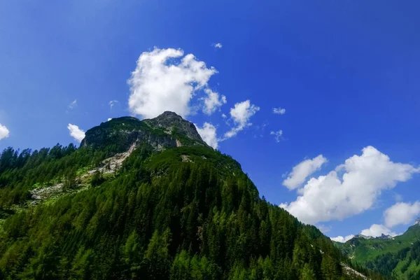 Haute Montagne Verte Avec Des Arbres Des Nuages Blancs Sur — Photo
