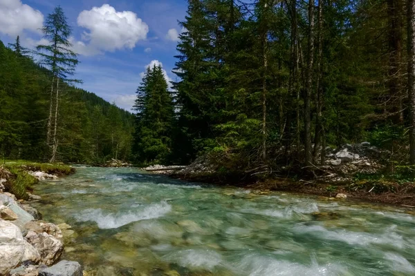 Heldere Koude Bergbeekjes Groene Bomen Een Natuurgebied Tijdens Het Wandelen — Stockfoto