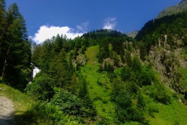 Yaz tatilinde yürüyüş yaparken mavi gökyüzü olan yeşil tepeler ve ağaçlar