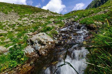 Avustralya 'dan dağlara doğru yürürken patikanın yakınında küçük bir dere var.