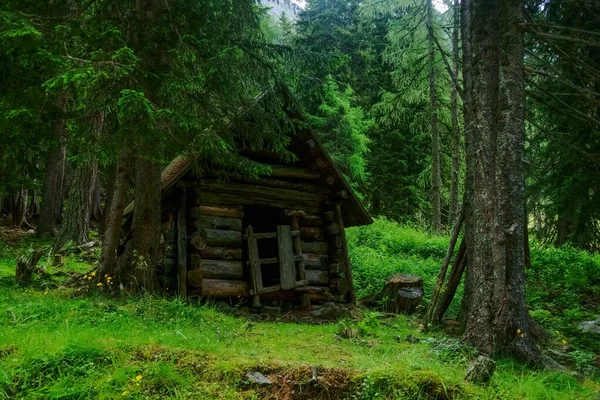 Piccola Vecchia Casa Legno Una Foresta Verde Vista Dettaglio — Foto Stock