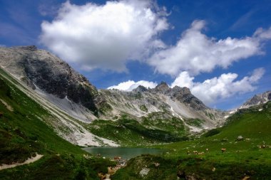 Muhteşem dağ gölü harika bir dağ vadisinde bir sürü inekle