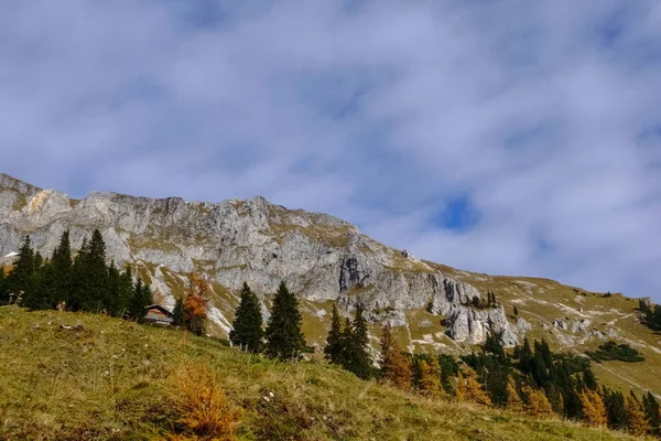 Paisagem Montanhosa Com Árvores Coloridas Nuvens Suaves Outono — Fotografia de Stock