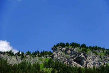 Avustralya 'da bir sürü ağaç ve mavi gökyüzü olan kayalık bir dağ.