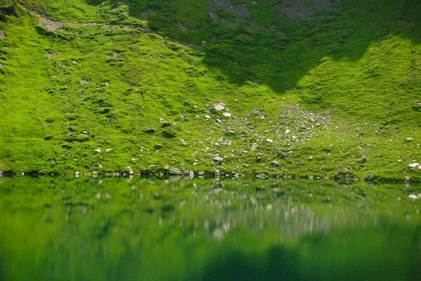 Avustralya Daki Bir Dağ Gölünde Parlayan Yeşil Tepelerin Yansıması — Stok fotoğraf