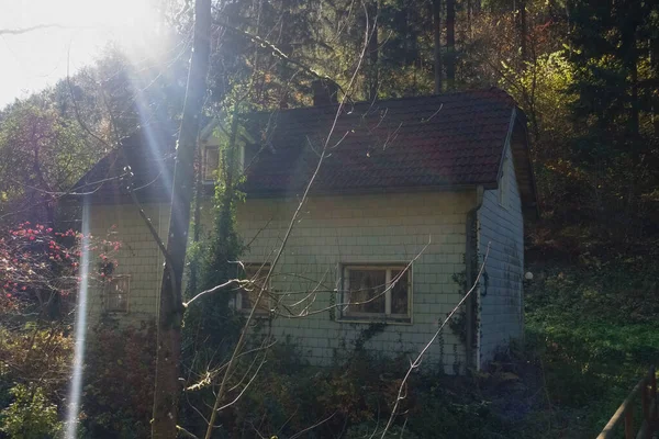 Sunshine Old Little Abandoned House Forest Mountains — Stock Photo, Image