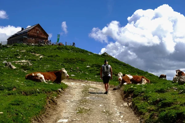 Žena Polní Cestě Při Pěší Turistice Alpské Chaty Ostatními Turisty — Stock fotografie