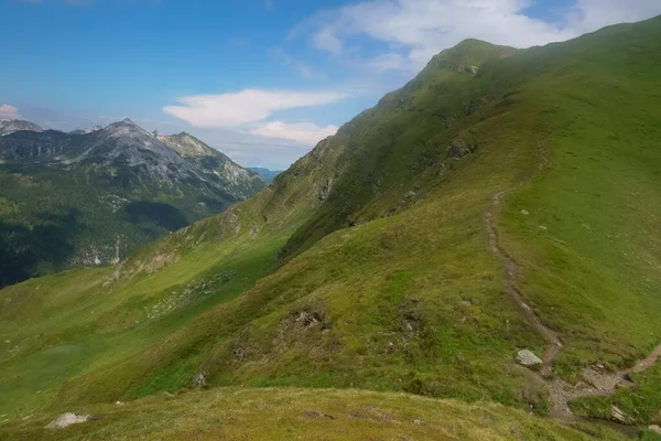 Wunderschöner Grüner Berg Mit Wanderweg Zum Gipfel — Stockfoto