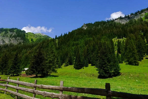 Wooden Fence Green Meadow Many Pine Trees Mountains Summer — Stock Photo, Image