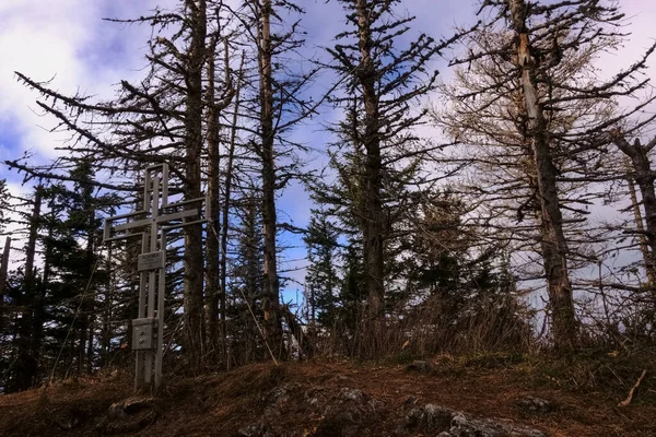 Παλιά Δέντρα Ένα Σταυρό Κορυφής Από Ατσάλι Στα Βουνά — Φωτογραφία Αρχείου
