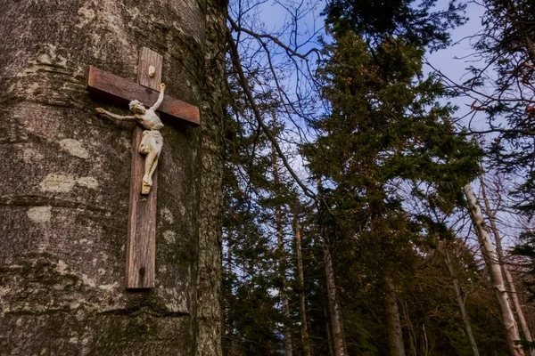 Oud Kruis Met Jezus Een Singe Boom Tijdens Een Wandeling — Stockfoto