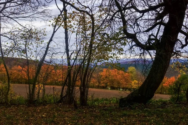 Utsikt Genom Träd Till Ett Färgglatt Landskap Hösten Medan Vandring — Stockfoto